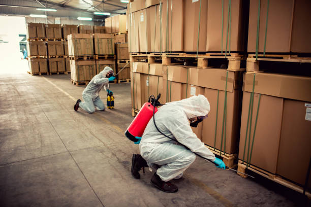 Best Emergency Pest Control  in Riva, MD