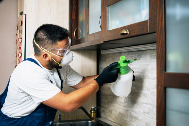 Best Rat Extermination Near Me  in Riva, MD
