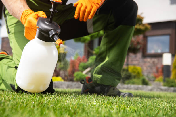 Best Cockroach Control Services  in Riva, MD