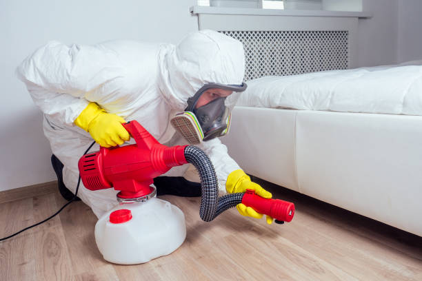 Best Local Pest Control Services  in Riva, MD