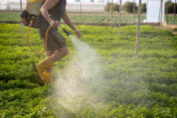 Best Affordable Pest Control Services  in Riva, MD