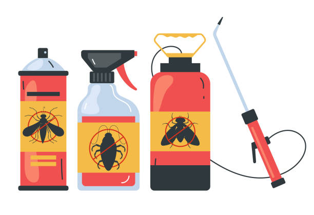 Best Spider Control Near Me  in Riva, MD