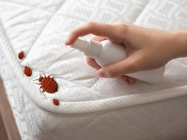 Best Residential Pest Control  in Riva, MD