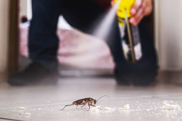 Best Wildlife Control Services  in Riva, MD