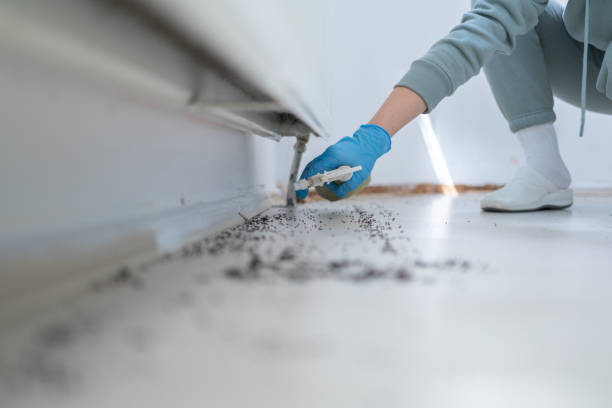 Best Wildlife Control Services  in Riva, MD