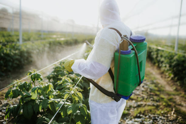 Best Pest Removal Services  in Riva, MD